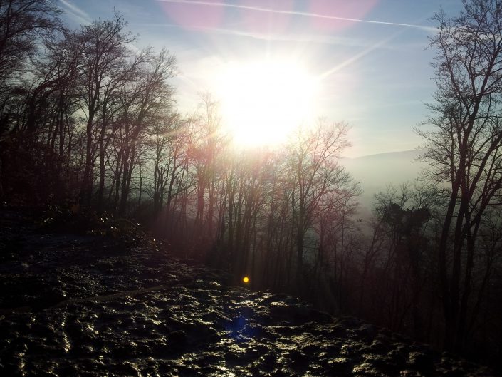 Wintersonne